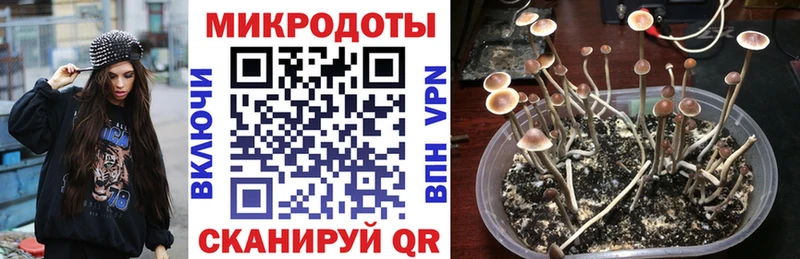 Псилоцибиновые грибы GOLDEN TEACHER  Киржач 